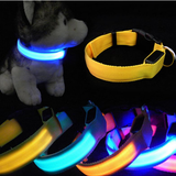 2017 Led Glow Dog Collar