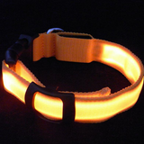 2017 Led Glow Dog Collar