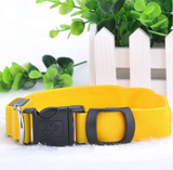 2017 Led Glow Dog Collar