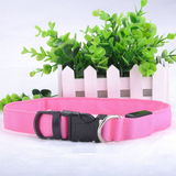 Get This 2017 Led Glow Dog Collar FREE!