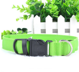 Get This 2017 Led Glow Dog Collar FREE!