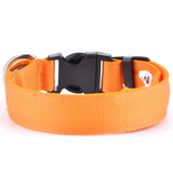 Get This 2017 Led Glow Dog Collar FREE!